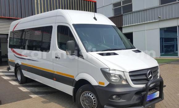 Buy Used Mercedes‒Benz Sprinter White Truck in Beitbridge in Matabeleland South