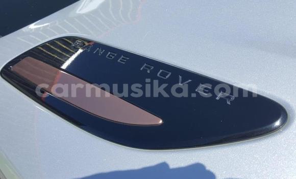 Acheter Occasion Voiture Land Rover Discovery Gris à Beitbridge, Matabeleland South Acheter Occasion Voiture Land Rover Discovery Gris à Beitbridge, Matabeleland South