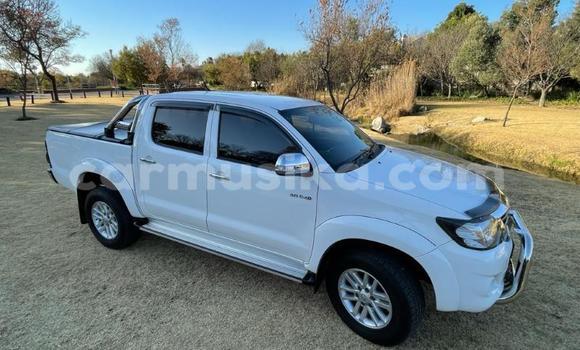 Tenga Tsaru Toyota Hilux Chena Mota in Beitbridge in Matabeleland South Tenga Tsaru Toyota Hilux Chena Mota in Beitbridge in Matabeleland South