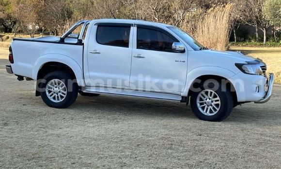 Tenga Tsaru Toyota Hilux Chena Mota in Beitbridge in Matabeleland South Tenga Tsaru Toyota Hilux Chena Mota in Beitbridge in Matabeleland South