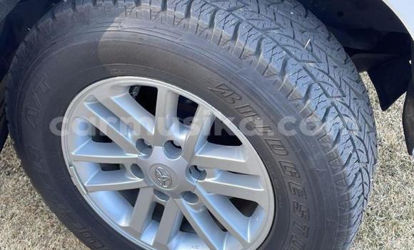 Tenga Tsaru Toyota Hilux Chena Mota in Beitbridge in Matabeleland South Tenga Tsaru Toyota Hilux Chena Mota in Beitbridge in Matabeleland South