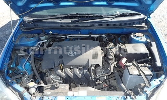 Tenga Tsaru Toyota Runx Bhuruu Mota in Beitbridge in Matabeleland South Tenga Tsaru Toyota Runx Bhuruu Mota in Beitbridge in Matabeleland South