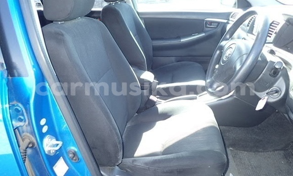 Tenga Tsaru Toyota Runx Bhuruu Mota in Beitbridge in Matabeleland South Tenga Tsaru Toyota Runx Bhuruu Mota in Beitbridge in Matabeleland South