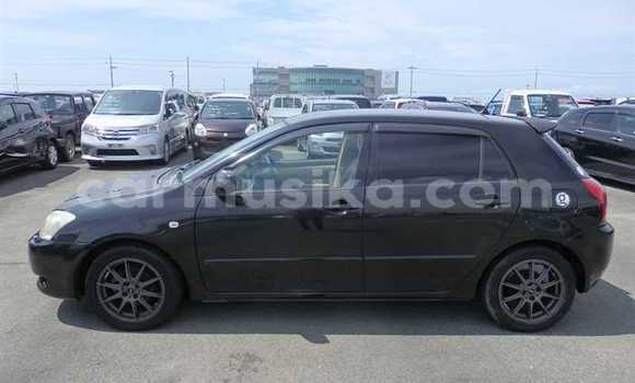 Acheter Occasion Voiture Toyota Runx Noir à Beitbridge, Matabeleland South Acheter Occasion Voiture Toyota Runx Noir à Beitbridge, Matabeleland South