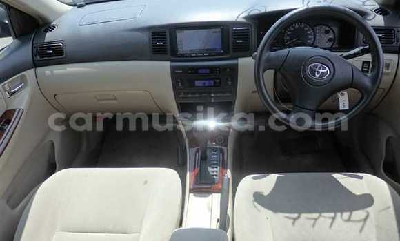 Acheter Occasion Voiture Toyota Runx Noir à Beitbridge, Matabeleland South Acheter Occasion Voiture Toyota Runx Noir à Beitbridge, Matabeleland South