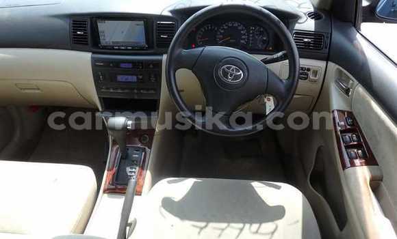 Acheter Occasion Voiture Toyota Runx Noir à Beitbridge, Matabeleland South Acheter Occasion Voiture Toyota Runx Noir à Beitbridge, Matabeleland South