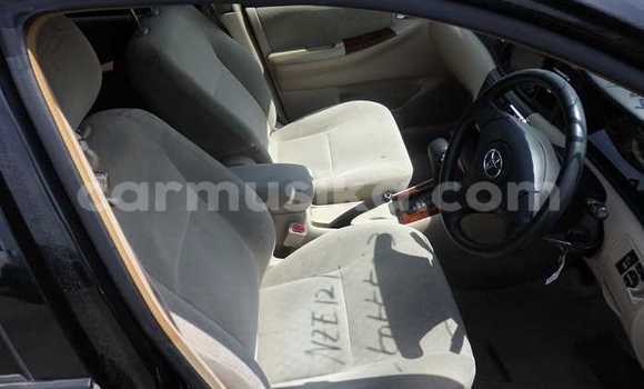 Acheter Occasion Voiture Toyota Runx Noir à Beitbridge, Matabeleland South Acheter Occasion Voiture Toyota Runx Noir à Beitbridge, Matabeleland South