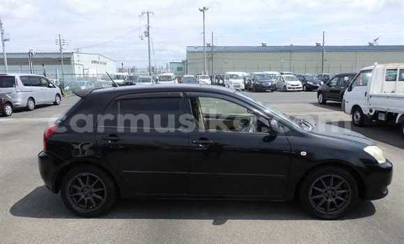 Acheter Occasion Voiture Toyota Runx Noir à Beitbridge, Matabeleland South Acheter Occasion Voiture Toyota Runx Noir à Beitbridge, Matabeleland South