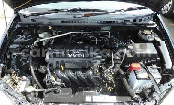 Acheter Occasion Voiture Toyota Runx Noir à Beitbridge, Matabeleland South Acheter Occasion Voiture Toyota Runx Noir à Beitbridge, Matabeleland South