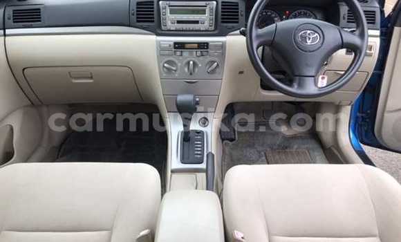 Acheter Occasion Voiture Toyota Runx Bleu à Beitbridge, Matabeleland South Acheter Occasion Voiture Toyota Runx Bleu à Beitbridge, Matabeleland South