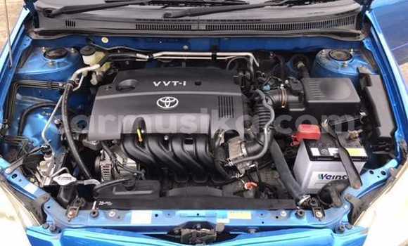 Acheter Occasion Voiture Toyota Runx Bleu à Beitbridge, Matabeleland South Acheter Occasion Voiture Toyota Runx Bleu à Beitbridge, Matabeleland South