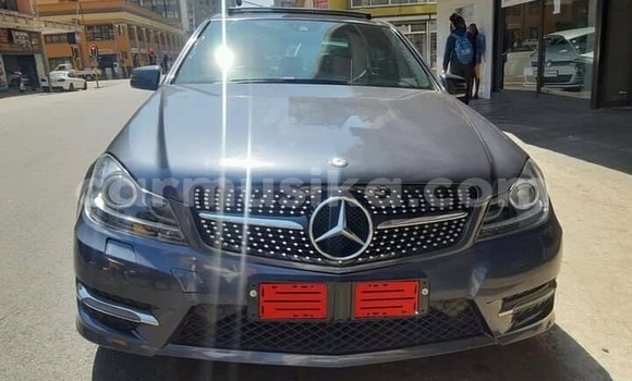 Buy Used Mercedes‒Benz 300CD Other Car in Borrowdale in Harare