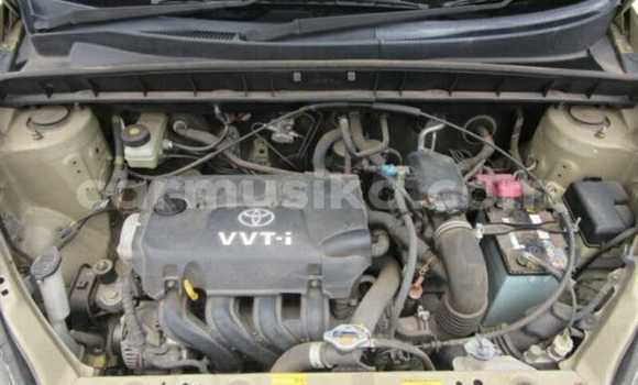 Buy Used Toyota FunCargo Beige Car in Beitbridge in Matabeleland South Buy Used Toyota FunCargo Beige Car in Beitbridge in Matabeleland South