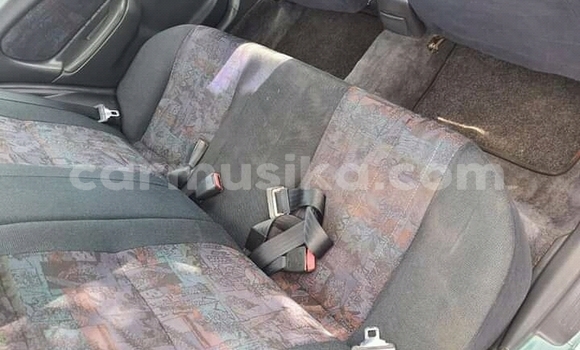 Buy Used Toyota Corolla Other Car in Borrowdale in Harare Buy Used Toyota Corolla Other Car in Borrowdale in Harare