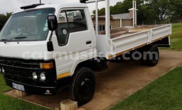 Nunua Ilio tumika Toyota Dyna Nyeupe Lori ndani ya Beitbridge nchini Matabeleland Kusini