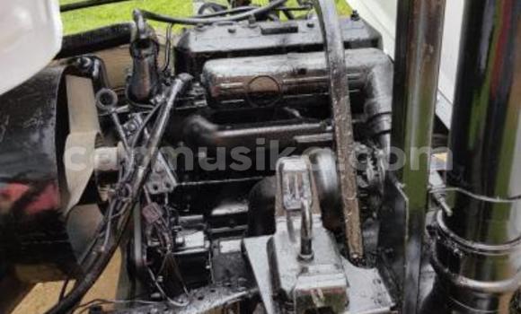 Nunua Ilio tumika Toyota Dyna Nyeupe Lori ndani ya Beitbridge nchini Matabeleland Kusini Nunua Ilio tumika Toyota Dyna Nyeupe Lori ndani ya Beitbridge nchini Matabeleland Kusini