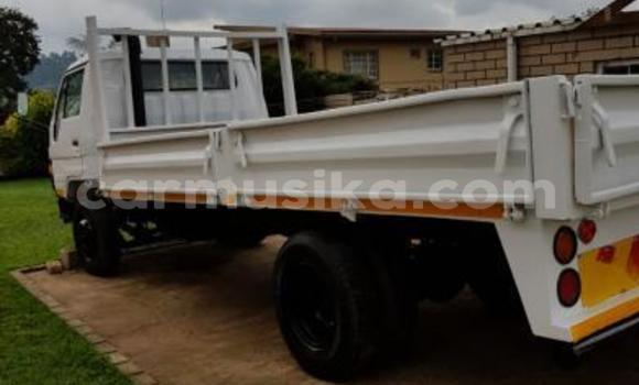 Nunua Ilio tumika Toyota Dyna Nyeupe Lori ndani ya Beitbridge nchini Matabeleland Kusini Nunua Ilio tumika Toyota Dyna Nyeupe Lori ndani ya Beitbridge nchini Matabeleland Kusini
