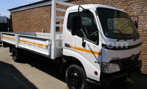 Tenga Tsaru Toyota Dyna Chena Rori in Beitbridge in Matabeleland South