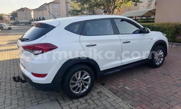 Nunua Ilio tumika Hyundai Tucson Nyeupe Gari ndani ya Beitbridge nchini Matabeleland Kusini