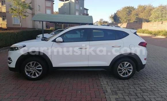 Acheter Occasion Voiture Hyundai Tucson Blanc à Beitbridge, Matabeleland South Acheter Occasion Voiture Hyundai Tucson Blanc à Beitbridge, Matabeleland South