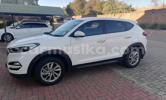 Acheter Occasion Voiture Hyundai Tucson Blanc à Beitbridge, Matabeleland South Acheter Occasion Voiture Hyundai Tucson Blanc à Beitbridge, Matabeleland South
