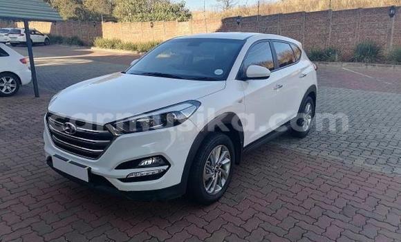 Acheter Occasion Voiture Hyundai Tucson Blanc à Beitbridge, Matabeleland South Acheter Occasion Voiture Hyundai Tucson Blanc à Beitbridge, Matabeleland South