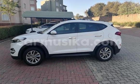 Acheter Occasion Voiture Hyundai Tucson Blanc à Beitbridge, Matabeleland South Acheter Occasion Voiture Hyundai Tucson Blanc à Beitbridge, Matabeleland South