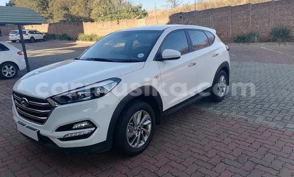 Acheter Occasion Voiture Hyundai Tucson Blanc à Beitbridge, Matabeleland South Acheter Occasion Voiture Hyundai Tucson Blanc à Beitbridge, Matabeleland South