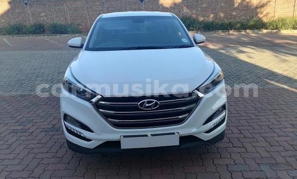 Acheter Occasion Voiture Hyundai Tucson Blanc à Beitbridge, Matabeleland South Acheter Occasion Voiture Hyundai Tucson Blanc à Beitbridge, Matabeleland South