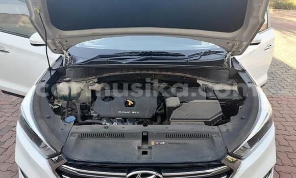 Acheter Occasion Voiture Hyundai Tucson Blanc à Beitbridge, Matabeleland South Acheter Occasion Voiture Hyundai Tucson Blanc à Beitbridge, Matabeleland South