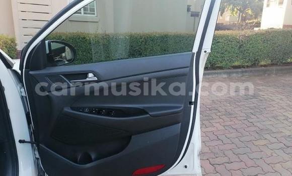 Acheter Occasion Voiture Hyundai Tucson Blanc à Beitbridge, Matabeleland South Acheter Occasion Voiture Hyundai Tucson Blanc à Beitbridge, Matabeleland South