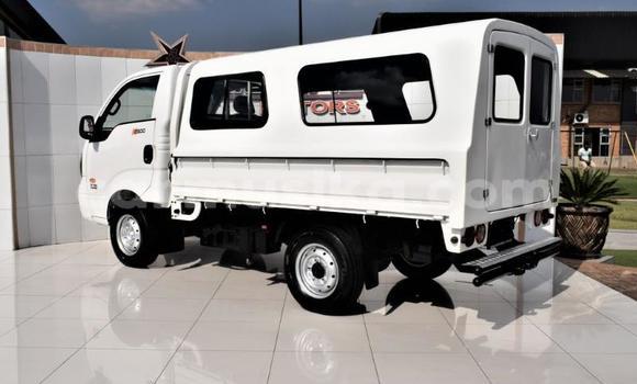 Buy Used Kia K2700 White Truck in Beitbridge in Matabeleland South Buy Used Kia K2700 White Truck in Beitbridge in Matabeleland South