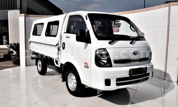 Buy Used Kia K2700 White Truck in Beitbridge in Matabeleland South Buy Used Kia K2700 White Truck in Beitbridge in Matabeleland South