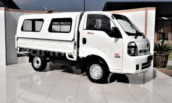 Buy Used Kia K2700 White Truck in Beitbridge in Matabeleland South Buy Used Kia K2700 White Truck in Beitbridge in Matabeleland South