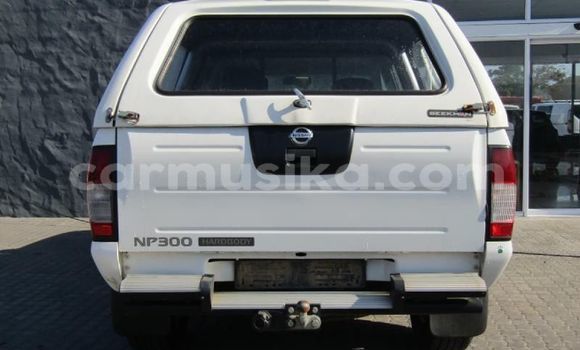 Acheter Occasion Voiture Nissan NP 300 Blanc à Beitbridge, Matabeleland South Acheter Occasion Voiture Nissan NP 300 Blanc à Beitbridge, Matabeleland South