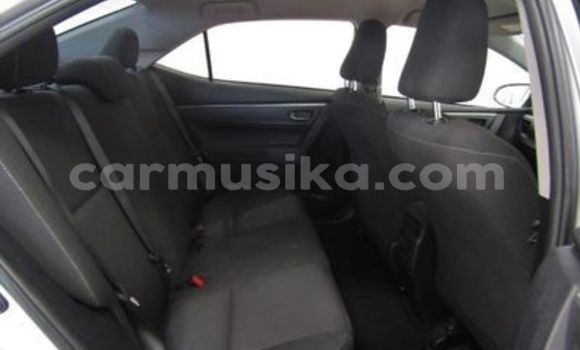 Nunua Ilio tumika Toyota Corolla Nyingine Gari ndani ya Beitbridge nchini Matabeleland Kusini Nunua Ilio tumika Toyota Corolla Nyingine Gari ndani ya Beitbridge nchini Matabeleland Kusini