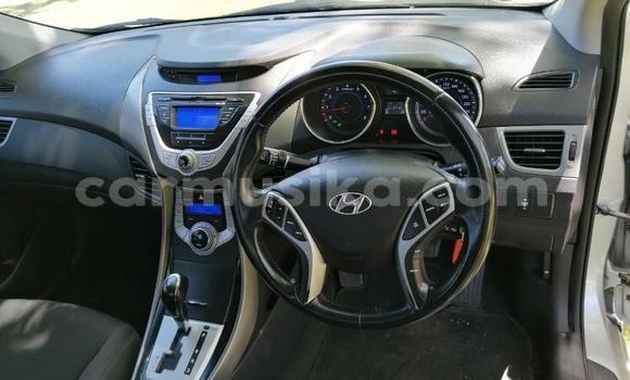 Tenga Tsaru Hyundai Lantra Sirivha Mota in Beitbridge in Matabeleland South Tenga Tsaru Hyundai Lantra Sirivha Mota in Beitbridge in Matabeleland South