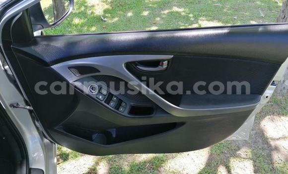 Tenga Tsaru Hyundai Lantra Sirivha Mota in Beitbridge in Matabeleland South Tenga Tsaru Hyundai Lantra Sirivha Mota in Beitbridge in Matabeleland South