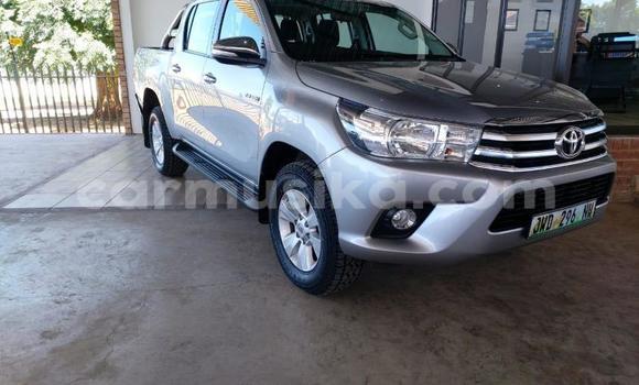 Acheter Occasion Voiture Toyota Hilux Gris à Beitbridge, Matabeleland South Acheter Occasion Voiture Toyota Hilux Gris à Beitbridge, Matabeleland South