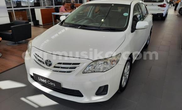 Nunua Ilio tumika Toyota Corolla Nyeupe Gari ndani ya Beitbridge nchini Matabeleland Kusini