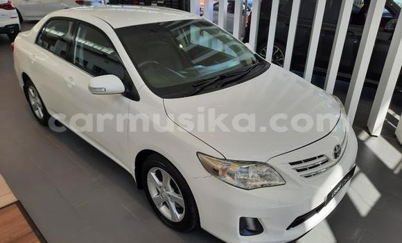 Buy Used Toyota Corolla White Car in Beitbridge in Matabeleland South Buy Used Toyota Corolla White Car in Beitbridge in Matabeleland South