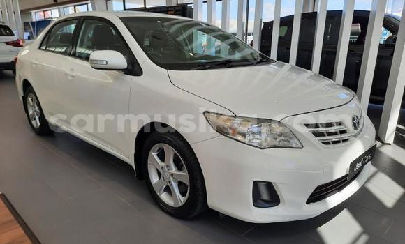 Buy Used Toyota Corolla White Car in Beitbridge in Matabeleland South Buy Used Toyota Corolla White Car in Beitbridge in Matabeleland South
