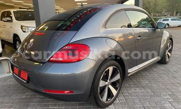 Tenga Tsaru Volkswagen Beetle Beige Mota in Beitbridge in Matabeleland South Tenga Tsaru Volkswagen Beetle Beige Mota in Beitbridge in Matabeleland South