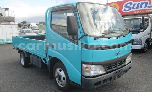 Tenga Tsaru Toyota Dyna Zvimwe Rori in Beitbridge in Matabeleland South