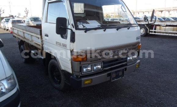 Buy Used Toyota Dyna White Truck in Beitbridge in Matabeleland South Buy Used Toyota Dyna White Truck in Beitbridge in Matabeleland South