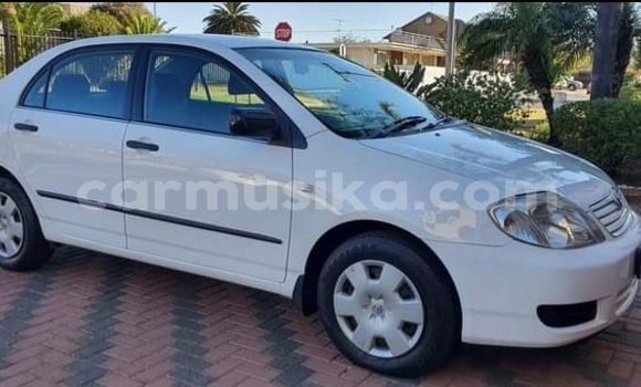 Nunua Ilio tumika Toyota Corolla Nyeupe Gari ndani ya Beitbridge nchini Matabeleland Kusini