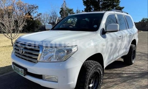 Tenga Tsaru Toyota Land Cruiser Chena Mota in Beitbridge in Matabeleland South