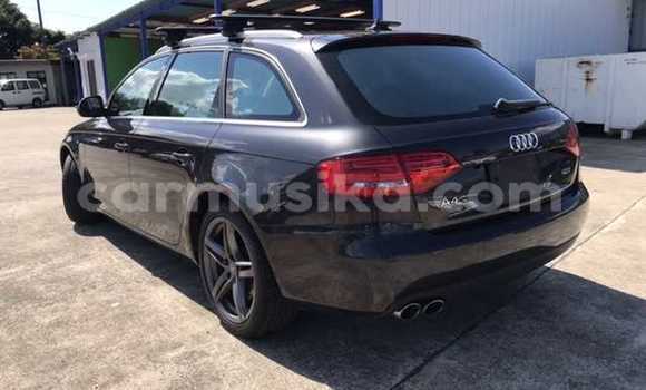 Buy Used Audi A4 Beige Car in Beitbridge in Matabeleland South Buy Used Audi A4 Beige Car in Beitbridge in Matabeleland South