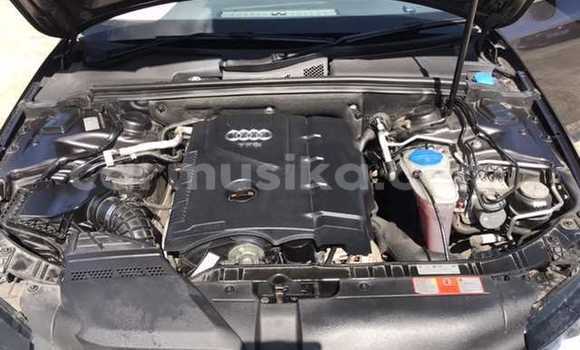 Buy Used Audi A4 Beige Car in Beitbridge in Matabeleland South Buy Used Audi A4 Beige Car in Beitbridge in Matabeleland South