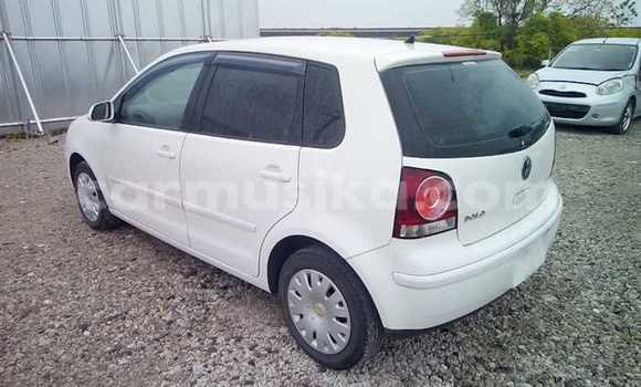 Buy Used Volkswagen Polo White Car in Beitbridge in Matabeleland South Buy Used Volkswagen Polo White Car in Beitbridge in Matabeleland South